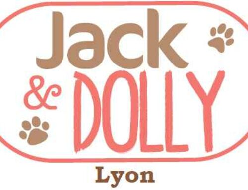 Jack & Dolly Dog