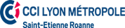 Logo CCI Lyon
